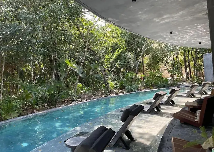 Tribu 204 Jungle Experience Ambience